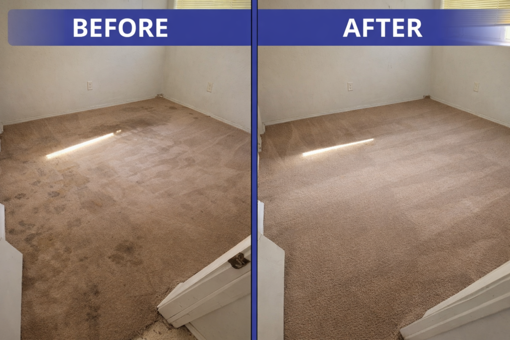 Carpet cleaning transformation comparison